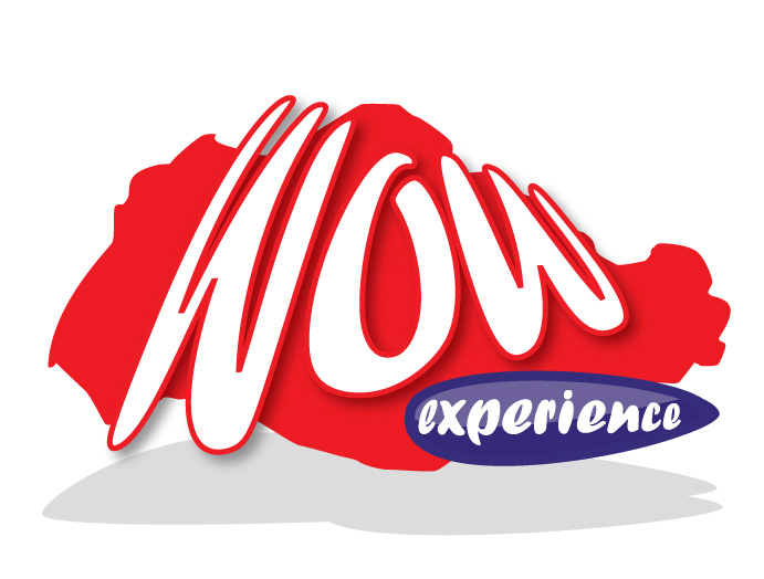 Wow Logo