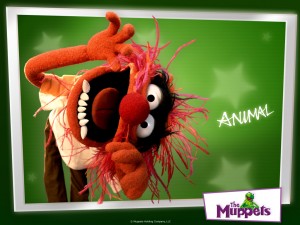 The Muppets: Animal Tattoo  Children\s Ministry Youth