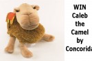 Enter to WIN a Caleb the Camel Puppet!