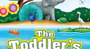 The Toddler’s Bible – A Kidmin Review