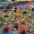 Board Games our Family Loves!